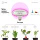 Фитолампа для растений светодиодная ЭРА E27 18W 2370K FITO-18W-RB-E27 Б0049533, изображение 3