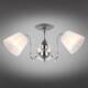 Потолочная люстра Omnilux Leonessa OML-29127-03, изображение 7