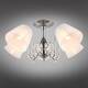 Потолочная люстра Omnilux Leonessa OML-29127-05, изображение 6