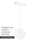 Трековый светодиодный светильник Arlight Mag-Vibe-Emisfero-Hang-R100-6W Day4000 044455 (#акция#), изображение 2