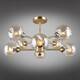 Потолочная люстра Omnilux Ostellato OML-93307-08, изображение 4