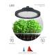 Фитопрожектор для растений Эра FITO-50W-RB-LED-UFO Б0053280, изображение 2