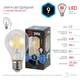 Лампа светодиодная Эра E27 9W 4000K F-LED A60-9W-840-E27 Б0043434, изображение 3
