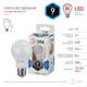 Лампа светодиодная Эра E27 9W 4000K LED A60-9W-840-E27 Б0032247, изображение 2