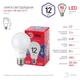 Лампа светодиодная Эра E27 12W 6500K LED A60-12W-865-E27 R Б0045325, изображение 3