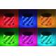 Светодиодная лента Эра 12В 5050 5,2Вт/м RGB 5м IP65 LS5050-30LED-IP65-RGB-5m C0043044, изображение 2