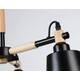 Люстра на штанге Ambrella Light Loft TR82206, изображение 4
