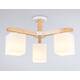 Люстра на штанге Ambrella Light Loft TR83115, изображение 2