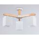 Люстра на штанге Ambrella Light Loft TR83115, изображение 3