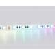 Светодиодная лента Ambrella Light LED Strip 24В 5050 10Вт/м RGBW+6500K 5м IP20 GS4403, изображение 3
