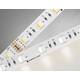 Светодиодная лента Ambrella Light Illumination 24В 5050 10Вт/м RGBW+4500K 5м IP20 GS4402, изображение 2