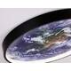 Настенно-потолочный светильник Ambrella Light Wall FW11132, изображение 10