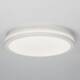 Потолочный светильник Citilux Luns CL711020V, изображение 4