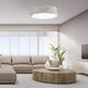 Потолочный светильник TK Lighting 6195 Kantoor Nature a059803, изображение 2