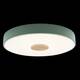 Потолочный светодиодный светильник Loft IT Axel 10003/24 green, изображение 5