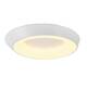 Потолочный светильник Myfar Phoebe MR9150-CL, изображение 2