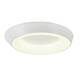 Потолочный светильник Myfar Phoebe MR9150-CL, изображение 3