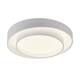 Потолочный светильник Myfar Rhea MR9160-CL, изображение 3