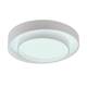 Потолочный светильник Myfar Rhea MR9160-CL, изображение 4