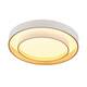 Потолочный светильник Myfar Rhea MR9161-CL, изображение 3