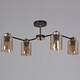 Люстра на штанге Reluce 01606-0.3-04 BK+FGD, изображение 2