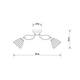 Потолочная люстра Arte Lamp Lily A4366PL-5BK, изображение 3