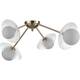 Потолочная люстра Rivoli Jacqueline 3169-304 Б0066412, изображение 2