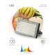Фитопрожектор для растений Эра FITO-80W-Ra90-LED-Y Б0057284, изображение 2