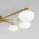 Потолочная люстра Eurosvet Opaline 70220/6 латунь Smart a065766, изображение 3