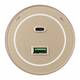 Трековая розетка Arte Milano Am-track-sockets-39 399732TS/USB-Type-C Gold, изображение 2