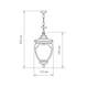 Уличный подвесной светильник Elektrostandard Andromeda H (GLYF-8024H) a027997, изображение 3