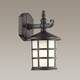 Уличный настенный светильник Odeon Light Nature House 4042/1W, изображение 2