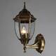 Уличный настенный светильник Arte Lamp Pegasus A3151AL-1BN, изображение 2