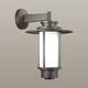 Уличный настенный светильник Odeon Light Nature Mito 4047/1W, изображение 2