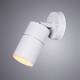 Уличный настенный светильник Arte Lamp Mistero A3304AL-1WH, изображение 4