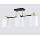 Потолочный светильник Ambrella Light Loft Traditional TR303046, изображение 3