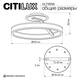 Потолочная люстра Citilux Дуэт CL719750, изображение 10