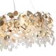 Подвесная люстра Odeon Light Classic Coins 5104/10, изображение 4