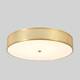 Потолочный светильник Crystal Lux BUTTON PL40W LED, изображение 5