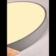 Потолочный светильник Natali Kovaltseva Scandinavian LED LAMPS 81183, изображение 6