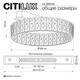 Потолочная люстра Citilux Palant CL325142, изображение 11