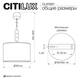 Подвесной светильник Citilux Status CL472021, изображение 8