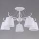 Люстра на штанге Illumico IL9482-5CSQ-25WT ELITE, изображение 3