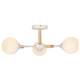 Люстра на штанге Rivoli Chiara 9180-303, изображение 9