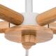 Потолочная люстра Arte Lamp Matthew A5032PL-5BR, изображение 5