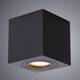 Потолочный светильник Arte Lamp Galopin A1461PL-1BK, изображение 2
