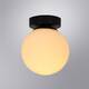Потолочный светильник Arte Lamp Alcor A2224PL-1BK, изображение 2