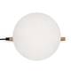 Настольная лампа Freya Blossom FR5259TL-01BS, изображение 6