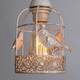 Подвесная люстра Arte Lamp Cincia A5090LM-5WG, изображение 3