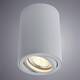 Потолочный светильник Arte Lamp A1560PL-1GY, изображение 2